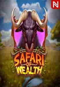 Safari of Wealth