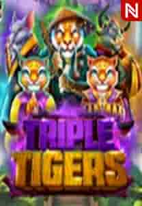 Triple Tigers